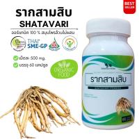 ราคา รากสามสิบ Shatavari 100% 60cap. คุณภาพดี (22059686065)