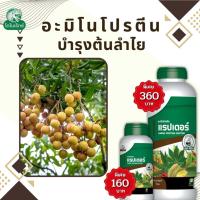 ราคา ลำไย โตไว ใบเขียว ผลใหญ่ แข็งแรง ผลผลิตดี อะมิโนโปรตีนจำเป็นสำหรับพืช 18 ชนิด อะมิโนแรปเตอร์ โดย ไดโนเร็กซ์ (19677824255)