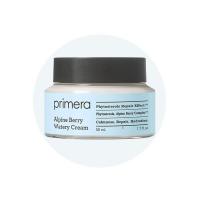 ราคา Skinfood Watery Berry Gel Cream 63ml