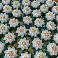 ราคา พร้อมส่ง แพ็ค50ดอก บัวหลวงฉัตร หลวงฉัตรชมพู ตัวเปล่า (ริบบิ้นธรรมดา) เหรียญโปรยทาน กำพรึก ดอกไม้ ดอกบัว เลือกสีได้ (23257551031)