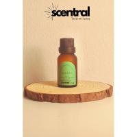 ราคา Scentral - Aroma Essential Oil 15 ml. 30 ml. 100 ml. น้ำมันหอมหอมระเหย กลิ่นแบมบู (Bamboo) (29004225984)