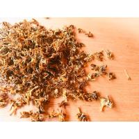 ราคา ชาดอกกาแฟ coffee blossom tea 500 กรัม (27611419933)