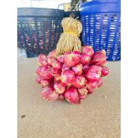 ราคา หอมแดงศรีสะเกษแท้ ครึ่งกิโล (25460301073)