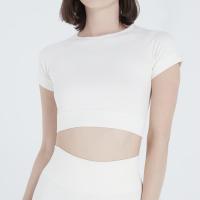 ราคา LOLLIPOP SEAMLESS SHORT SLEEVE CROP TOP (21817100888)