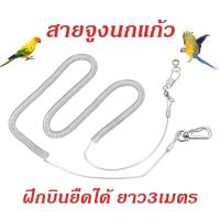 ราคา ห่วงขานก โซ่ขานก สายจูงนกแก้ว สายจูงนกแบบยืด เชือกนกแก้ว ฝึกบิน​ยืดได้ ยาว3เมตร (26954856955)
