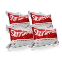 ราคา ของใหม่ ลดราคา ถูกกว่าหน้าร้าน เหลือใบสุดท้าย หมอน slumberland (18596103781)