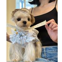 ราคา ฤดูร้อนสัตว์เลี้ยงลูกสุนัขเสื้อผ้าสุนัขสุนัขขนาดเล็กเท็ดดี้ปอมเมอเรเนียนยอร์คเชียร์ลูกไม้เสื้อผ้ารักกระโปรงน่ารักบางสไตล์ (51904416763)