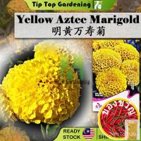 ราคา นก/ดอกไม้/สว/ สาก/ดอกทานตะวัน/ดอกไม้/สัตว์ใหญ่/ข้าวโพด/ดอกทานตะวัน/แอปเปิ้ล/กระบองเพชร/ผู้หญิง/กระบองเพชร/กระโปรง/กางเกง (19960188194)