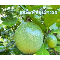 ราคา เมล็ดพันธุ์เสาวรสพื้นบ้าน100เมล็ด(คละสีม่วงสีเหลือง) (27643093853)