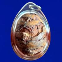 ราคา คตปลวกชนิดพิเศษ หายากสุดๆ รูปทรงสวยงามมากๆ (52602043911)