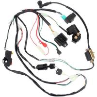 ราคา ATV CDI Ignition Complete Wiring Harness CDI Ignition Set for 4 stroke ATV QUAD 50cc 70cc 90cc 110c (43727336318)