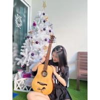 ราคา GUITAR โปร่ง / โปร่งไฟฟ้า | YAMAHA / JAMES (3443090404)