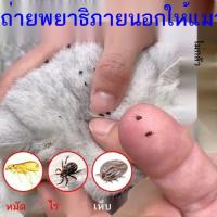 ราคา M [ไม่กลัวเลีย] ถ่ายพยาธิ กำจัดหมัด กำจัดเห็บแมวและลูกแมว กำจัดเห็บ และสเปรย์ไล่แมลง (46151204623)