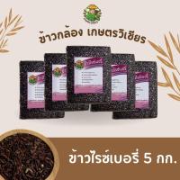 ราคา โปร 5 kgข้าวกล้อง เกษตรวิเชียร ข้าวไรซ์เบอร์รี่ ข้าวกล้องหอมมะลิ ข้าวกล้องหอมมะลิแดง ข้าว 3 สี (22019708138)