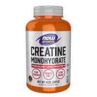 ราคา Now Foods, Sports, Creatine Monohydrate, 8 oz (227 g) (49450218020)