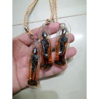 ราคา ไอ้ไข่วัดเจดีย์ ในน้ำมันจันทร์ กาฝากรัก (4360835863)