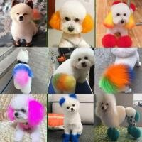 ราคา สุนัขย้อมผมสัตว์เลี้ยงสีขาวพิเศษ กว่าหมีเท็ดดี้สัตว์แมว (24933417245)