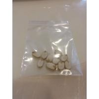 ราคา เมล็ดมะระจีน 10 เมล็ด ปลูกง่าย ต้นงอกภายใน 5 วัน (8944527266)