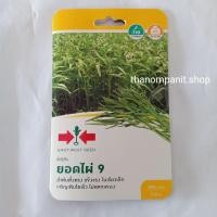 ราคา เมล็ดพันธุ์ เมล็ดผัก **ผักบุ้งจีน** ยอดไผ่9 ศรแดง 400เมล็ด(ซองเล็ก) (14503993364)