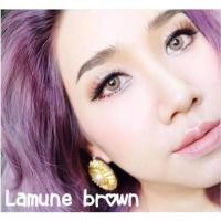 ราคา คอนแทคเลนlamune brown (78299695)