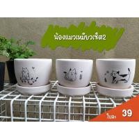 ราคา กระถางต้นไม้ดินเผา,กระถางแคคตัส (8179245423)