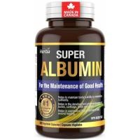 ราคา Herba Albumin Protein plement – แคปซูลผัก 240 แคปซูล | อัลบูมิน แคปซูลที่มีส่วนผสม 16 ชนิดรวม อัลบูมิน กวางเขากวาง รอยัล โสมไซบีเรียน และอื่นๆ | ผลิตในแคนาดา (49454451057)