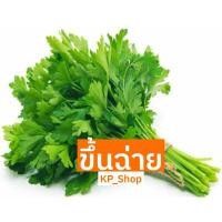 ราคา เมล็ดผัก ขึ้นฉ่าย 1500-2000 เมล็ด ราคา 10 บาท (8910543039)