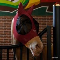 ราคา [ระดับไฮเอนด์] Felix Bühler Anti-Mosquito Face Mask Integrated No Zipper Type Earmuffs Eye Mask Horse Tools 8216124 (52203993600)