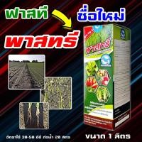 ราคา ฟาสที 1 ลิตร ฮอร์โมนสูตรเข้มข้น เร่งราก บำรุงราก บำรุงดิน รากขาว เร่งต้น แตกยอด แตกกอ เร่งราก แก้ปัญหาดินเสีย ข้าว (11186213699)