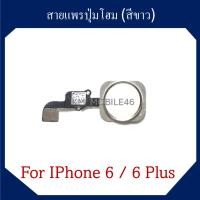 ราคา สายแพรปุ่มโฮม สําหรับ iphone 6 6 Plus สีขาว (26488128092)