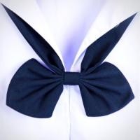 ราคา คอซอง โบว์มัธยม ตราน้อมจิตร (6920517629)