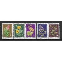 ราคา W64 แสตมป์สหภาพโซเวียตใช้แล้ว (CTO) ชุด Medicinal Plants ดอกไม้ ปี 1972 ใช้แล้ว สภาพดี จำนวน 5 ดวง ครบชุด (4456111088)