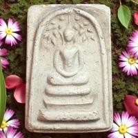 ราคา พระสมเด็จวัดระฆังเก่า พิมพ์ปรกโพธิ์ ส่งตามปก (19601742356)