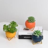 ราคา [Daisy168] กระถางตกแต่ง กระถางต้นไม้เล็ก ของตกแต่งบ้าน โต๊ะทำงาน สไตล์นอร์ดิก (7804764922)