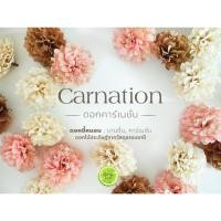 ราคา ดอกคาร์เนชั่น จากใบขี้หนอน ดอกไม้แห้ง ดอกไม้ประดิษฐ์จากวัสดุธรรมชาติ ใช้ตกแต่งบ้าน จัดแจกัน จัดช่อดอกไม้แห้ง พร้อมส่ง!!! (24523645006)