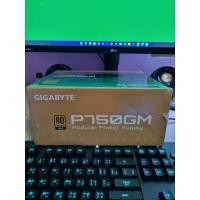 ราคา PSU (80+ Gold) 750w. GIGABYTE P750GM (20437468479)