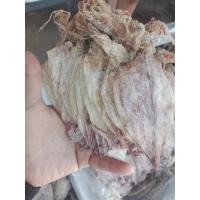 ราคา ปลาหมึกแห้งA6ขนาด500กรัม ปลาหมึกตากแห้ง ปลาหมึกผ่า ตัวสวย ปลาหมึกทะเล400กรัม ปลาหมึกทะเลแเนื้อหวานไม่เค็ม 250กรั (44070954134)