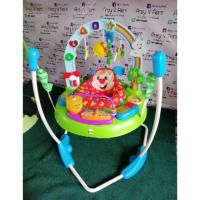 ราคา Fisher Price Laugh and Learn Puppy jumperoo (1741095927)