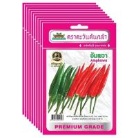 ราคา เมล็ดพันธุ์พริกอัมพวา ตราตะวันต้นกล้า ขายส่ง ยกห่อ (1 ห่อ บรรจุ 10 ซอง) (52603702213)