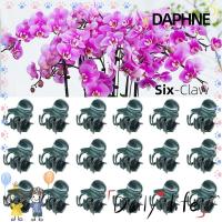 ราคา คลิปปลูกถ่ายอวัยวะ ดาฟีน,6-กรงเล็บเถา การปลูกถ่ายอวัยวะ คลิปพืช,ทนทานกล้วยไม้ดอกไม้สนับสนุนอุปกรณ์สวนเครื่องมือพลาสติกกล้วยไม้คลิปผลไม้ผักก้าน (49403886720)