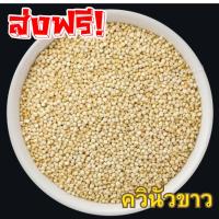 ราคา W 1กิโลกรัม ควินัวขาว Quinoa เมล็ดควินัว เม็ดควินัว ควินัวขาว ควินัว คีนัว ครีนัว ออร์แกนิค เมล็ดควินัว เมล็ดควินัวขาว (56951391054)