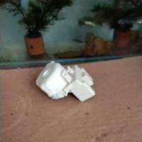 ราคา สาย TOYOTA YARIS CELICA RAV4 CONTACT KEY (44226481655)