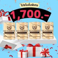 ราคา #จมูกข้าว 4กป.Riceberry พร้อมส่ง ส่งไว ของแท้ มีบัตรตัวแทน ลดน้ำตาล ไขมัน คนท้อง คนรักสุขภาพ ทานได้ทุกเพศทุกวัย มีของแถม (18495396913)