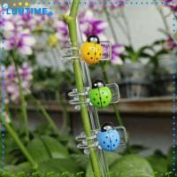 ราคา LONTIME 20ชิ้นผีเสื้อกล้วยไม้คลิป,สนับสนุนกรอบตกแต่งออกแบบคลิป,ปีนเขาพืชสนับสนุนเครื่องประดับสวนคงที่ออกแบบเถาสนับสนุนกรอบสนับสนุนพืช (44653299346)