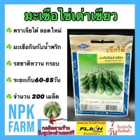 ราคา เจียไต๋ มะเขือไข่เต่าเขียว หมดอายุ 03/2568 จำนวน 200 เมล็ด มะเขือ กินกับน้ำพริก รสชาติ หวาน กรอบ (27411604200)