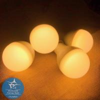 ราคา หลอดไฟตกหมึก สีวอร์มไวท์ หรือ แสงเทียน LED กรมหลวงฟิชชิ่ง ไฟตกหมึก ใช้กับหม้อแบตเตอรี่ (19523310111)