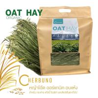 ราคา หญ้าโอ๊ต อบแห้ง - Oat Hay Dry by Cherbuno (500g) (12221519298)