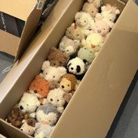 ราคา Curly Animal Series การ์ตูนสัตว์สัตว์ตุ๊กตาตุ๊กตาของเล่นตุ๊กตาของขวัญของเล่นของขวัญวันเกิด (27878022255)