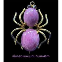 ราคา เข็มกลัดแมลงมุมทับทิมแอฟริกา (18771590204)