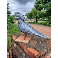 ราคา นกเขาใหญ่ นกต่อ ตกแต่ง มีเก็บปลายทาง (15142605180)